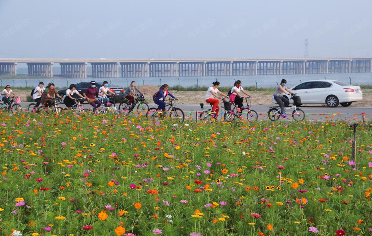 石家莊滹沱河畔