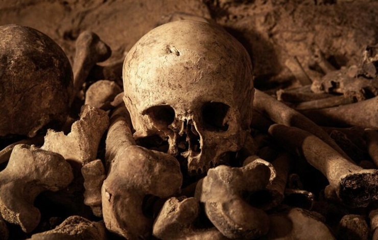 巴黎最恐怖卧室 内有600万颗人头