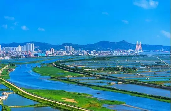 拨开雾霾看龙腾嘉园 万亩牛田洋生态湿地近在身旁