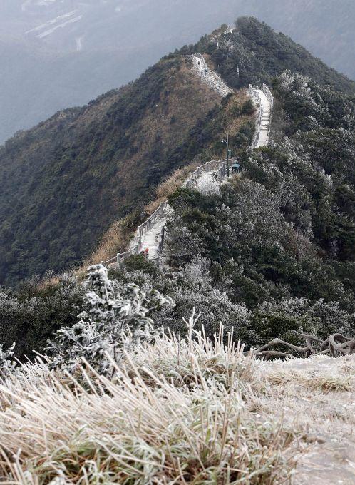 收图啦!深圳最美雪景图集合 错过再等100年