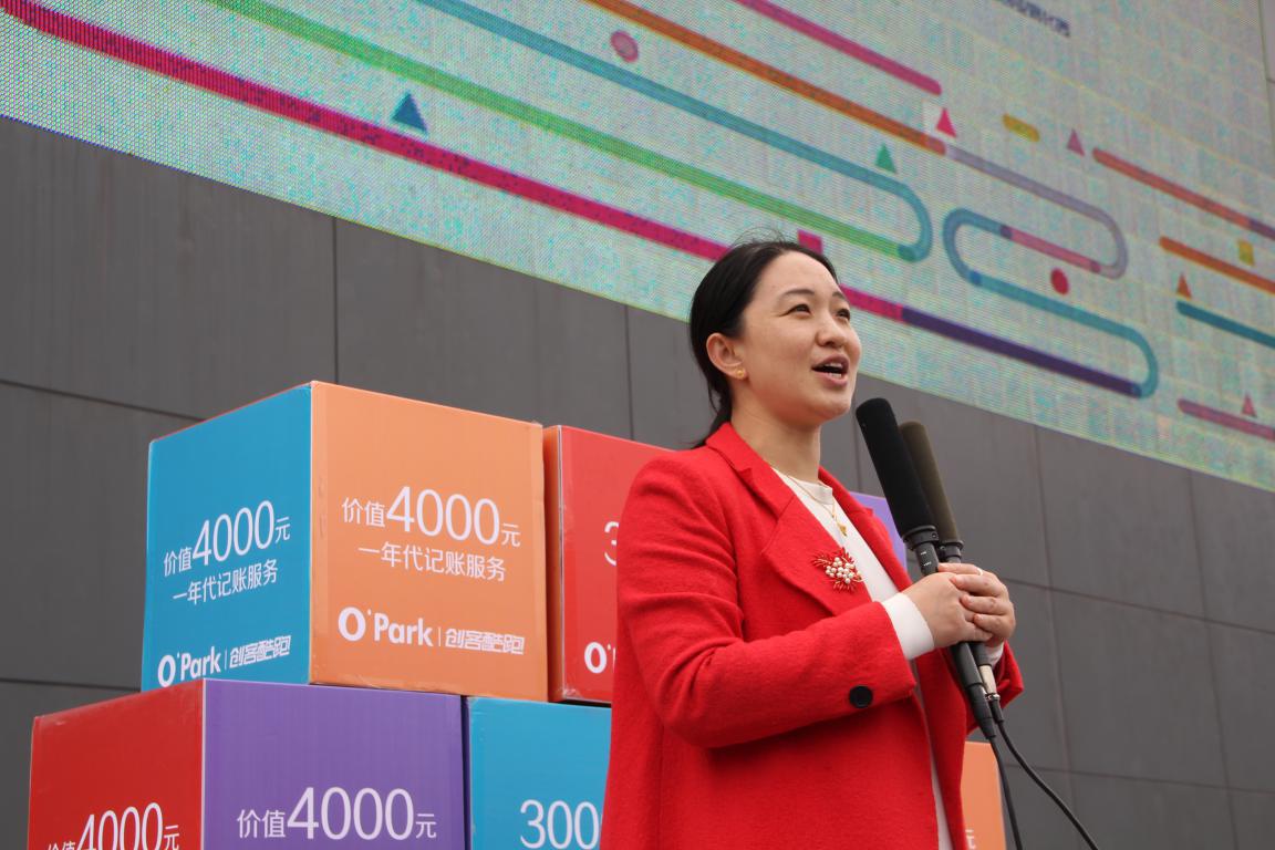 火炬孵化执行总裁孙兰兰接受媒体访问