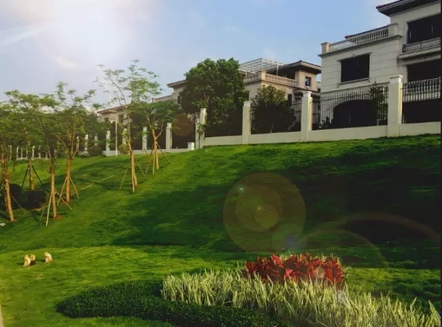 凤凰城【山湖美墅】本周限量呈现!