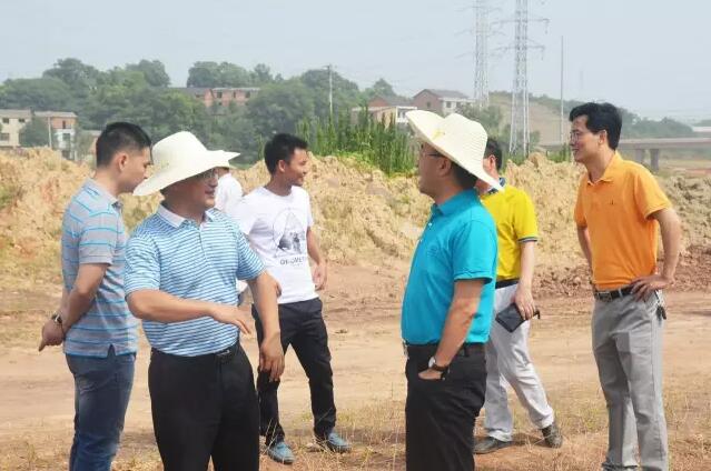 郑建芳主任,周楚政总经理等领导实地查看现场情况