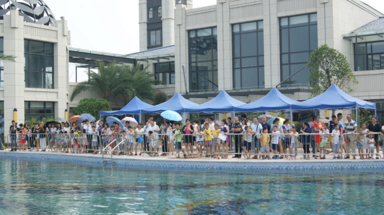 虎门印象不可错过的莞深大型海洋生物展 燃爆全城