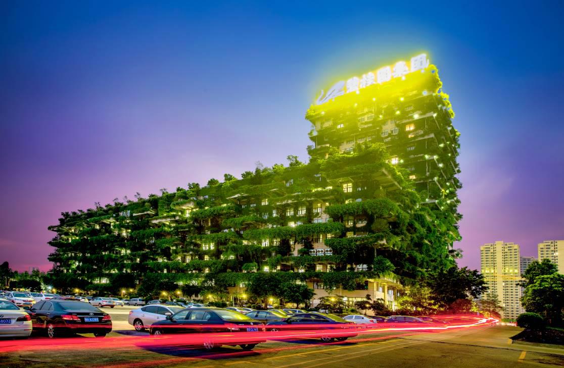 碧桂园森林城市获小摩点赞 碧桂园股价大涨8.2%!