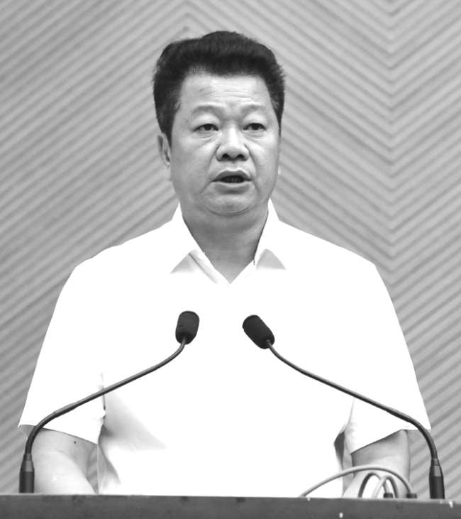 龙湖区新津街道党工委书记 林伟雄