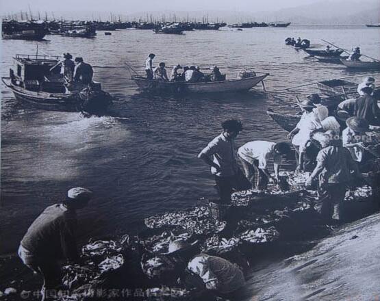 直击45年前的深圳:破旧,荒凉的小渔村