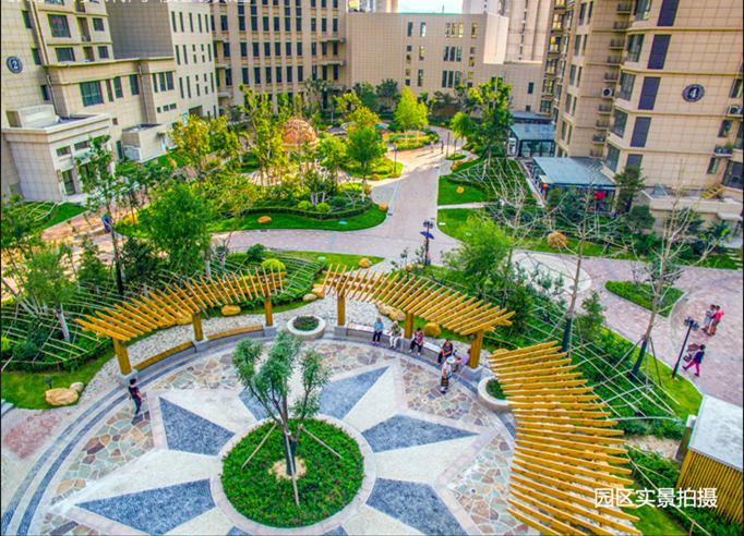 六万平米围合式园林,垂柳,银杏,紫丁香,雪松,元宝枫