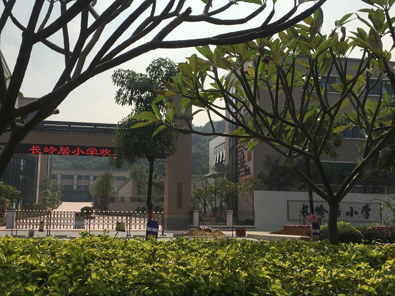 小区旁边就是长岭居小学,今年九月份开始招生.