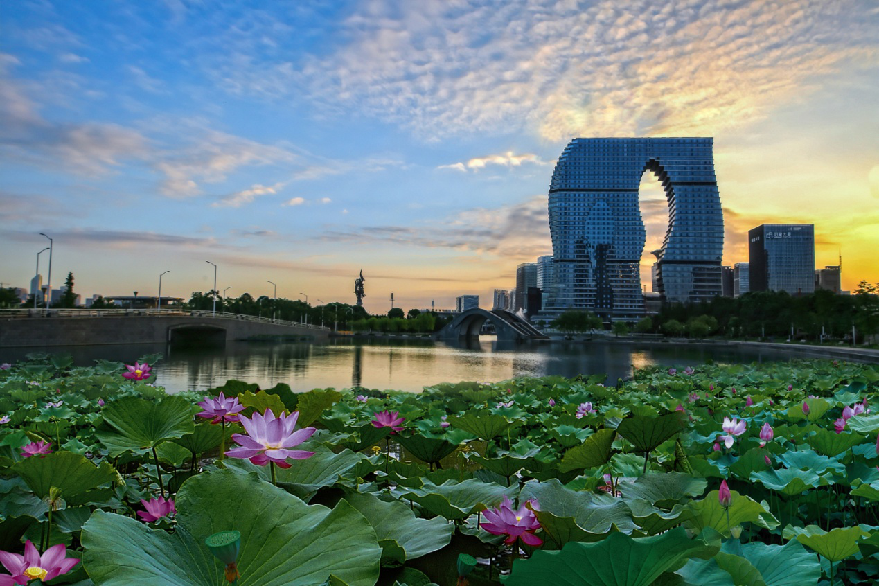 万千宠爱集一身 杭州印独秀滨江