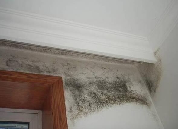 墙面出现污渍怎么办?这几个方法能帮到你