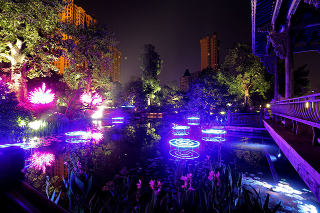 传递中国味与世界交融星河湾国际花市周末绽放