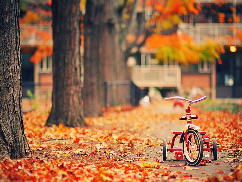 中国福彩网上投注中福在线:没能等到你回来,可该感谢你给我留下一个家