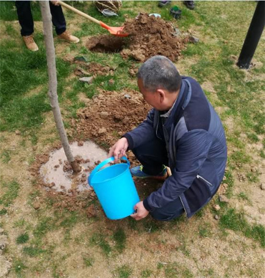 给树浇上水,来年开出鲜艳的花