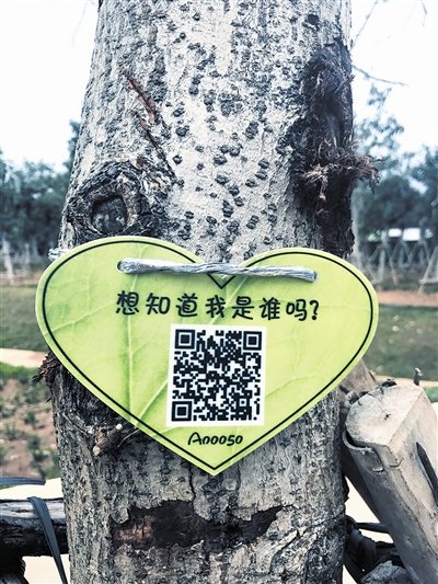 红树林生态公园树木二维码展示牌.