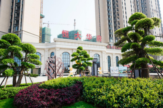 恒大金碧华府:春日正值游园时 天地自然 诗意栖居