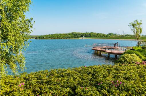瑞安翠湖山:暮春赏玩 bbq与湖山完美作伴
