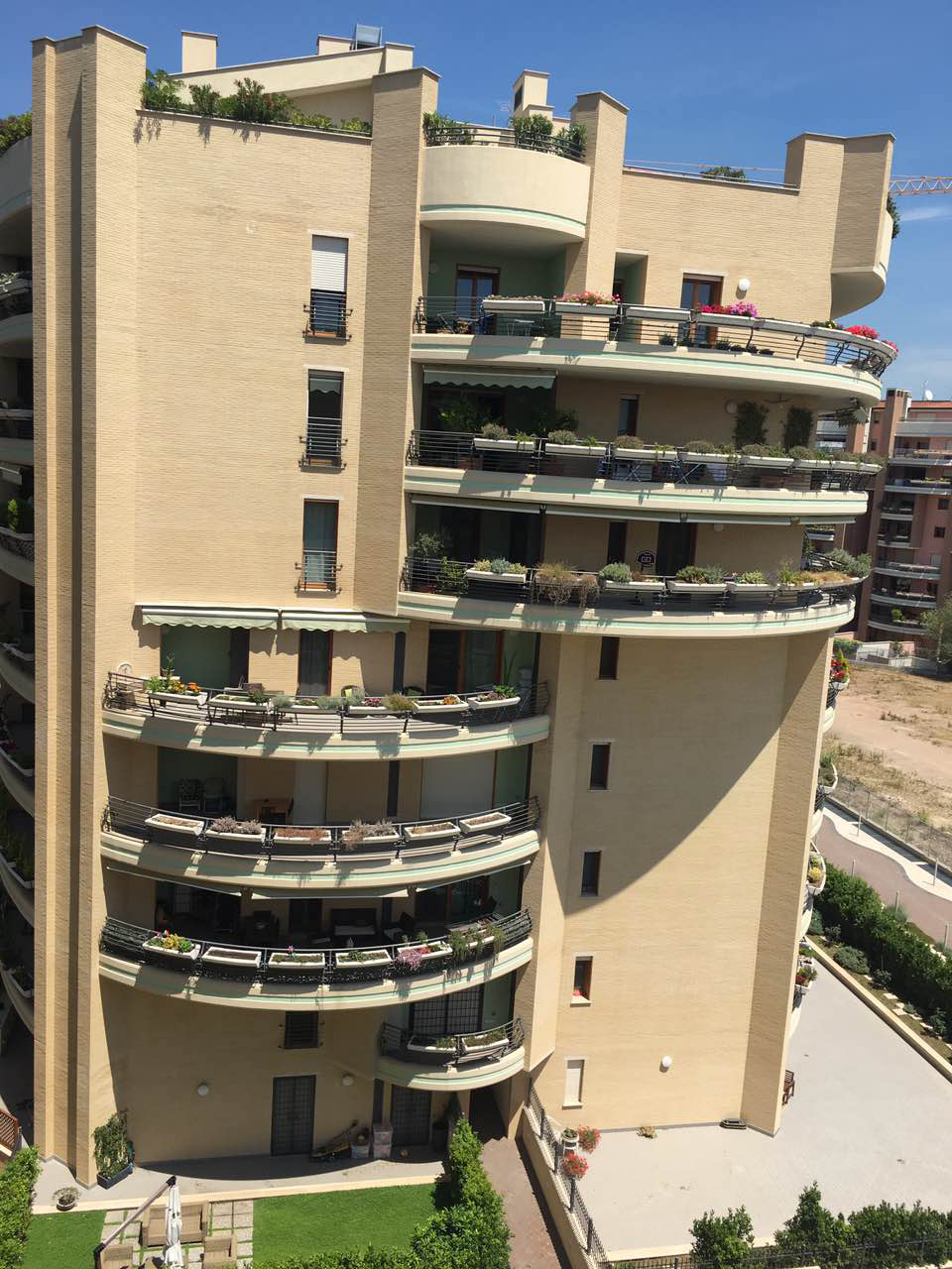 弧形大平台,处处充满生机