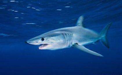 恒大南湖半岛带你high翻岳阳!