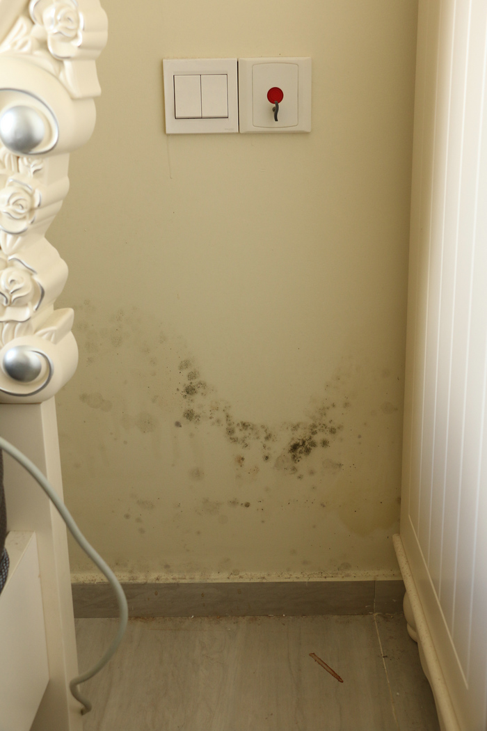 卧室一角墙面已生霉斑(记者现场实拍)