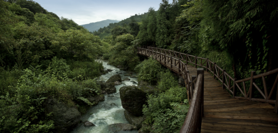 在不破坏原始生态的前提下,峨眉半山七里坪打造了最原生态的溪谷栈道