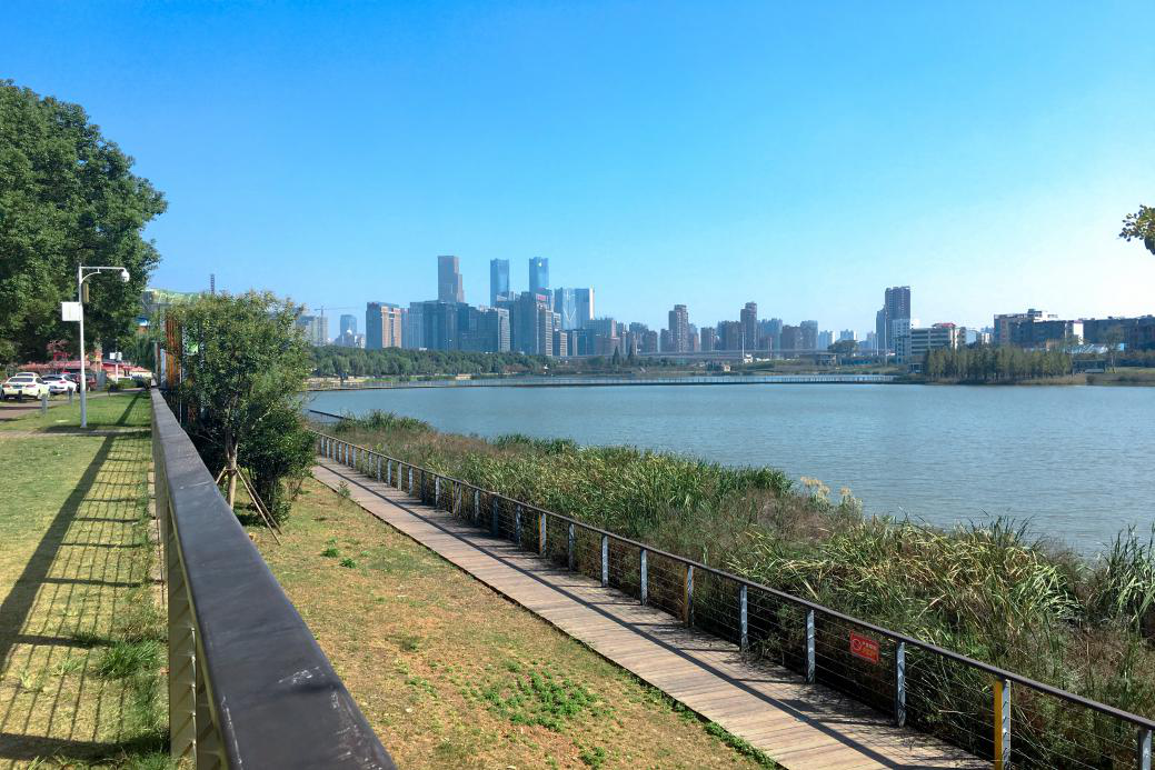 绿地中央公园|10月28日 观湖头排 荣耀加推!