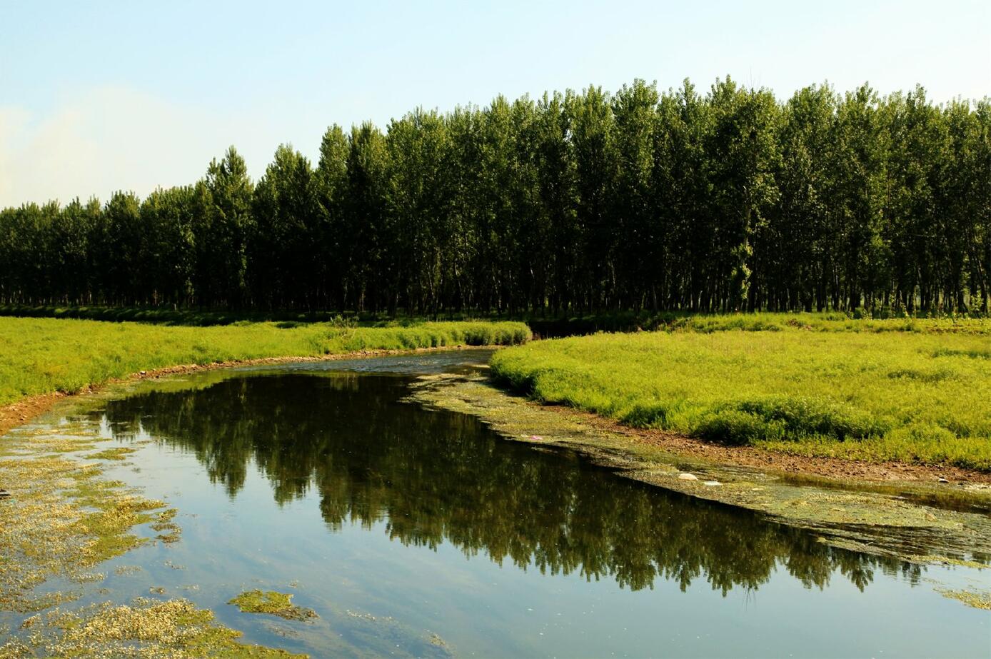 盘点成都宜居生态大盘城西洼地深入人心