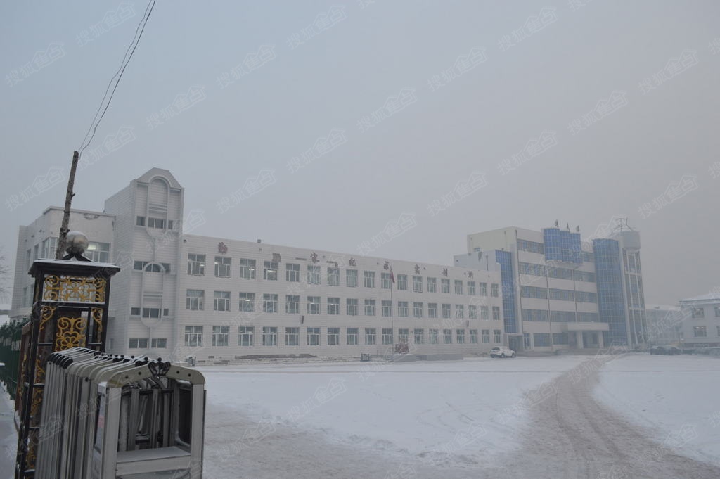 克山中超绿洲克山县第四中学(克山四中)