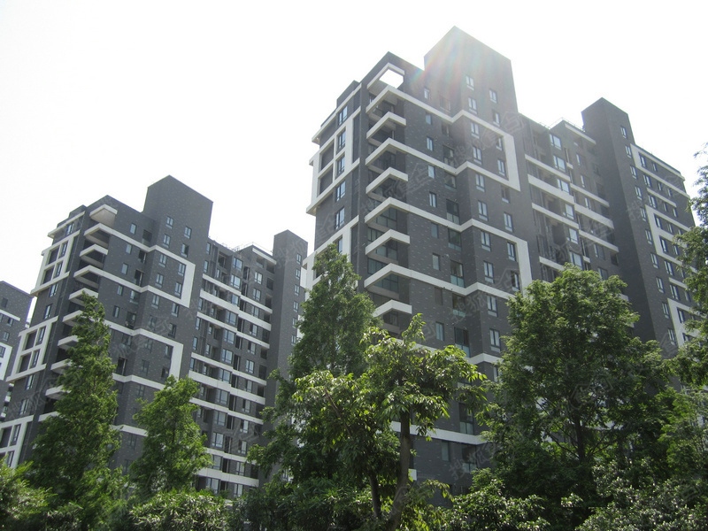 东渡青筑-上海东渡青筑楼盘图片信息-搜狐焦点