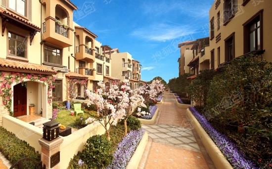 春暖花开 九城公园墅花海样板区diy幸福起航-房产新闻-绍兴搜狐焦点网