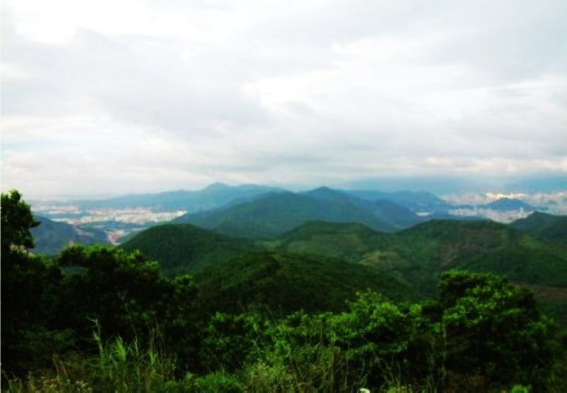 别墅正在消失,熙园山院更显珍稀