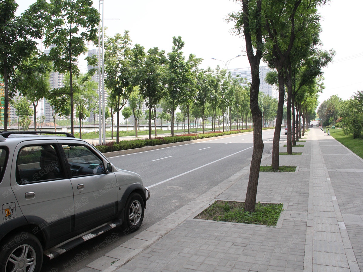 保利曲江春天里实景图—小区道路